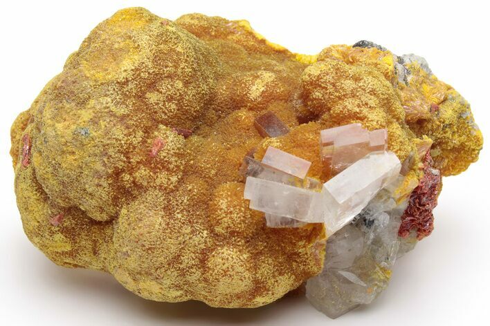 Vibrant Orpiment with Tabular Barite Crystals - Peru #231538